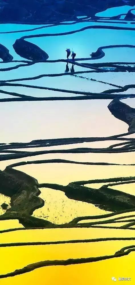 俄罗斯军事专家分析朝鲜阅兵展示的新型坦克为什么像T‘xingkong体育官网登录’(图6)
俄罗斯军事专家分析朝鲜阅兵展示的新型坦克为什么像T‘xingkong体育官网登录’(图6)