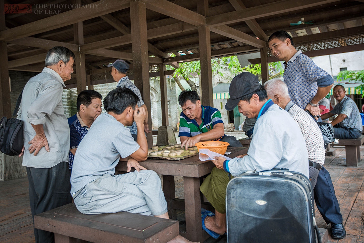 东莞“电子眼”监控待宰生猪“星空体育官网”(图3) 星空官网登录