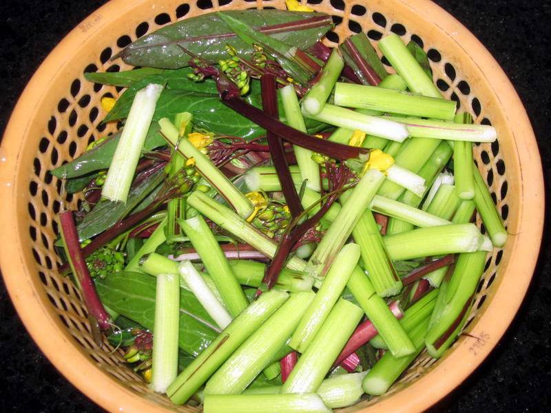 胡塞武装仿制山寨货的巡航导弹为何能将沙特打怕|星空体育官网(图2) xingkong体育官网登录