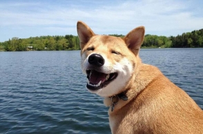 xingkong.com:兰州学生校园“养宠物种蔬菜”感悟“生命成长”(图2) 星空体育官网