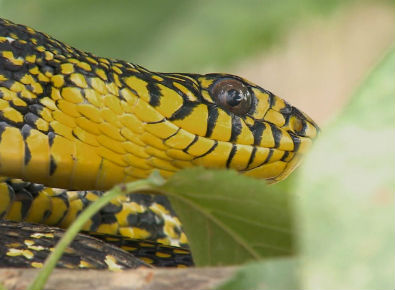 国庆第三次演练管制区周边商圈将调整营业时间-xingkong.com(图3)