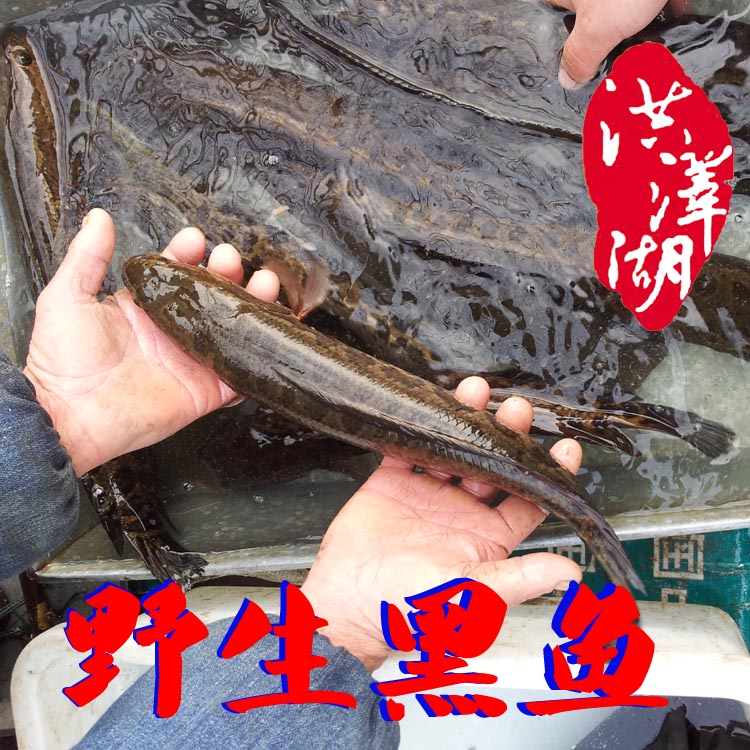 xingkong体育官网登录