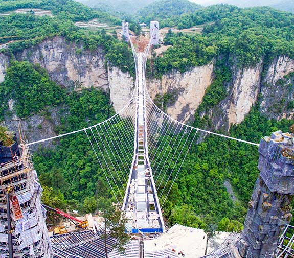 【刊期更新】畜牧兽医类、农林类【星空体育官网】(图2)
【刊期更新】畜牧兽医类、农林类【星空体育官网】(图2)