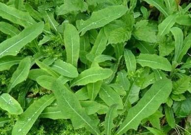 拉达克大雪封山，印度对华战略转向海上：不止马六甲，还把手伸向南海|xingkong体育官网登录(图2)