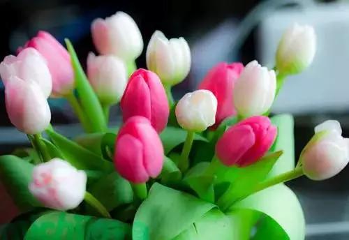 明珠社区:病毒无情 党员有爱【星空体育官网】(图2) 明珠社区:病毒无情 党员有爱【星空体育官网】(图2)