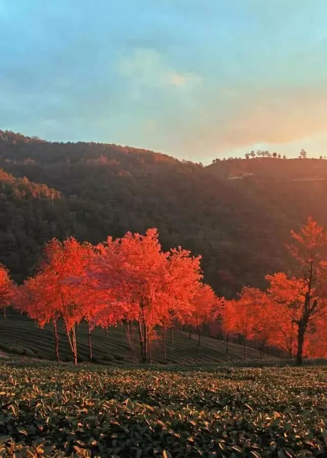 ‘xingkong.com’台军F16演练模拟攻击辽宁舰?能否升空都是未知数(图1) 星空官网登录