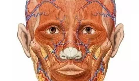 xingkong体育官网登录